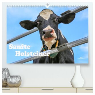 Sanfte Holsteiner (hochwertiger Premium Wandkalender 2026 DIN A2 quer), Kunstdruck in Hochglanz