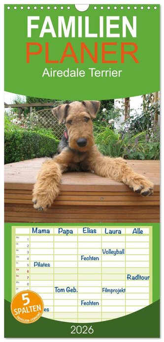 Familienplaner 2026 - Airedale Terrier mit 5 Spalten (Wandkalender, 21 x 45 cm) CALVENDO