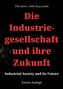 Die Industriegesellschaft und ihre Zukunft
