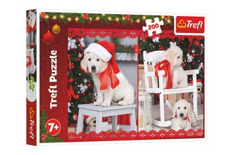 Puzzle Labrador s čepicí 48x34cm 200 dílků v krabici 33x23x4cm