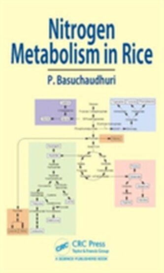 Nitrogen Metabolism in Rice