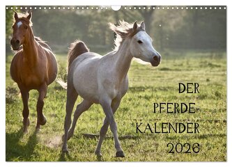 Pferdekalender (Wandkalender 2026 DIN A3 quer), CALVENDO Monatskalender