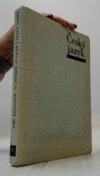 Český jazyk - rozšířený přehled učiva základní školy s cvičením