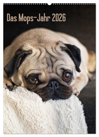 Das Mops-Jahr 2026 (Wandkalender 2026 DIN A2 hoch), CALVENDO Monatskalender