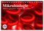 Mikrobiologie. Mikroorganismen, Genetik und Zellen (Tischkalender 2026 DIN A5 quer), CALVENDO Monatskalender