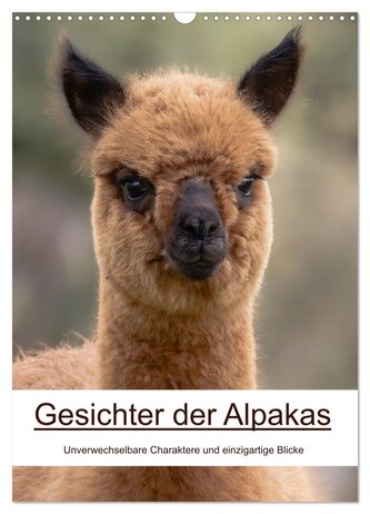 Gesichter der Alpakas - Unverwechselbare Charaktere und einzigartige Blicke (Wandkalender 2026 DIN A3 hoch), CALVENDO Monatskale