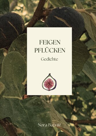 Feigen pflücken