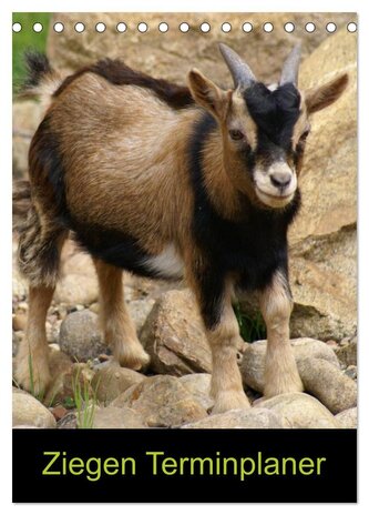 Ziegen Terminplaner (Tischkalender 2026 DIN A5 hoch), CALVENDO Monatskalender