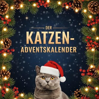 Der Katzen-Adventskalender