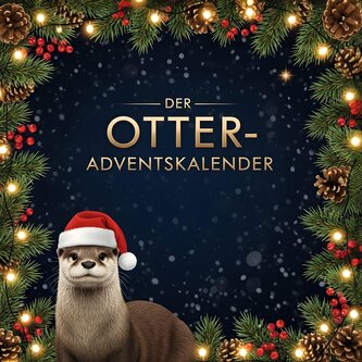 Der Otter-Adventskalender