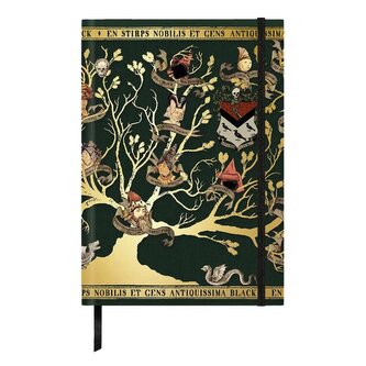 Zápisník Harry Potter - Rodina Blacků