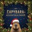 Der Capybara-Adventskalender