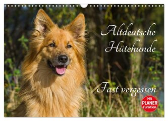 Altdeutsche Hütehunde - Fast vergessen (Wandkalender 2026 DIN A3 quer), CALVENDO Monatskalender
