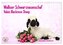 Walliser Schwarznasenschaf Valais Blacknose Sheep (Wandkalender 2026 DIN A4 quer), CALVENDO Monatskalender
