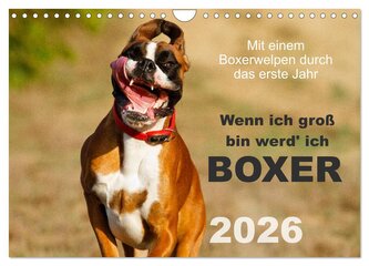 Wenn ich groß bin werd' ich Boxer (Wandkalender 2026 DIN A4 quer), CALVENDO Monatskalender