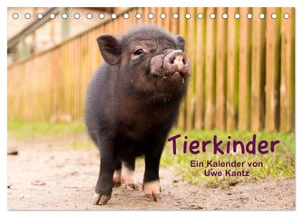 Tierkinder (Tischkalender 2026 DIN A5 quer), CALVENDO Monatskalender
