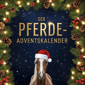 Der Pferde-Adventskalender