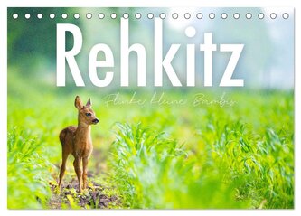 Rehkitz - Flinke kleine Bambis. (Tischkalender 2026 DIN A5 quer), CALVENDO Monatskalender