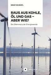 Raus aus Kohle, Öl und Gas - aber wie?