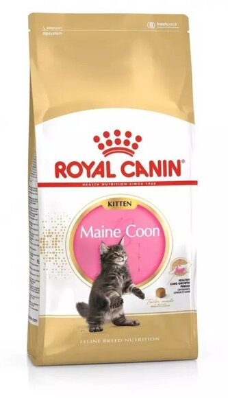 Royal Canin Maine Coon Kitten 2kg