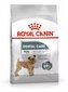 Royal Canin Mini Dental Care 8kg