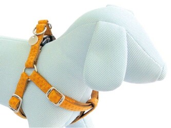 Postroj Mylord béžový 1x25-40 cm