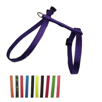 Postroj popruh kočka