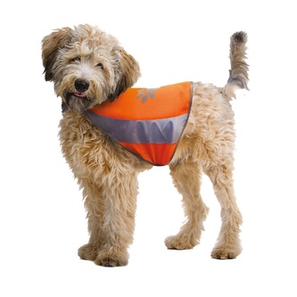 Reflexní vesta Croci XL