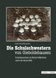 Die Schulschwestern von Gieboldehausen