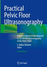 Practical Pelvic Floor Ultrasonography