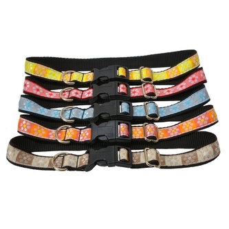 Obojek popruh kytka 50 x 2 cm