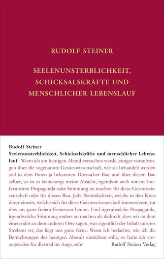 Seelenunsterblichkeit, Schicksalskräfte und menschlicher Lebenslauf