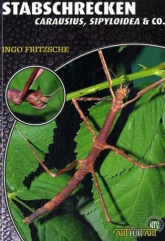 Stabschrecken