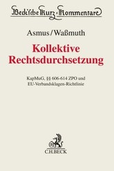 Musterfeststellungsklagen, Kommentar