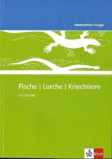 Fische, Lurche, Kriechtiere