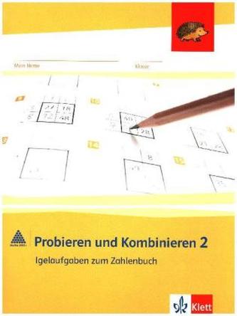 Probieren und Kombinieren, 2. Schuljahr