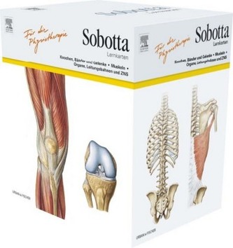 Sobotta Lernkarten für Physiotherapeuten / Manualtherapeuten