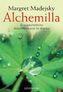 Alchemilla