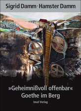 'Geheimnißvoll offenbar'. Goethe im Berg