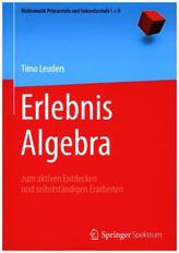 Erlebnis Algebra