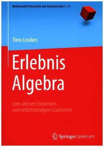 Erlebnis Algebra