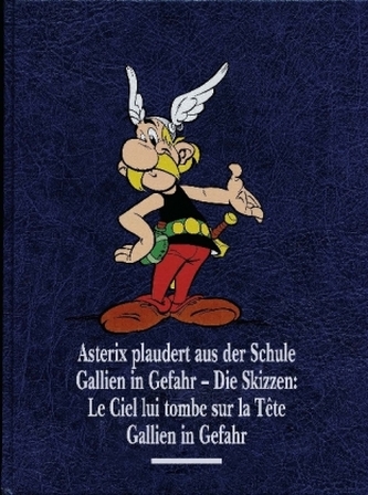 Asterix plaudert aus der Schule, Gallien in Gefahr, Gallien in Gefahr - Die Skizzen