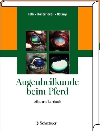 Augenheilkunde beim Pferd