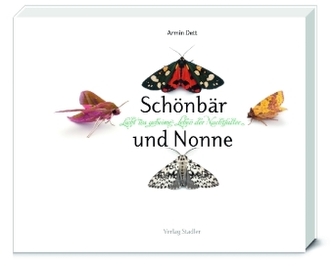 Schönbär und Nonne