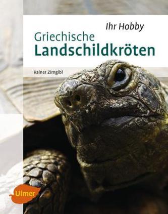Griechische Landschildkröten