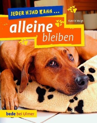 Jeder Hund kann ... alleine bleiben