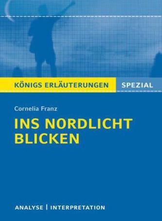 Cornelia Franz 'Ins Nordlicht blicken'