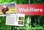 Waldtiere - Fotokarten mit Sachinfos