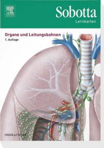 Organe und Leitungsbahnen, Lernkarten