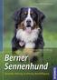 Berner Sennenhund